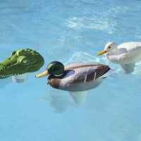 Duck Chlorine Dispenser thumbnail